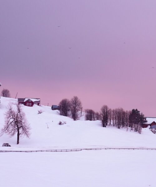 pexels-photo-6780256-6780256 Beautiful snow-covered hills and houses in Gulmarg during a tranquil twilight.